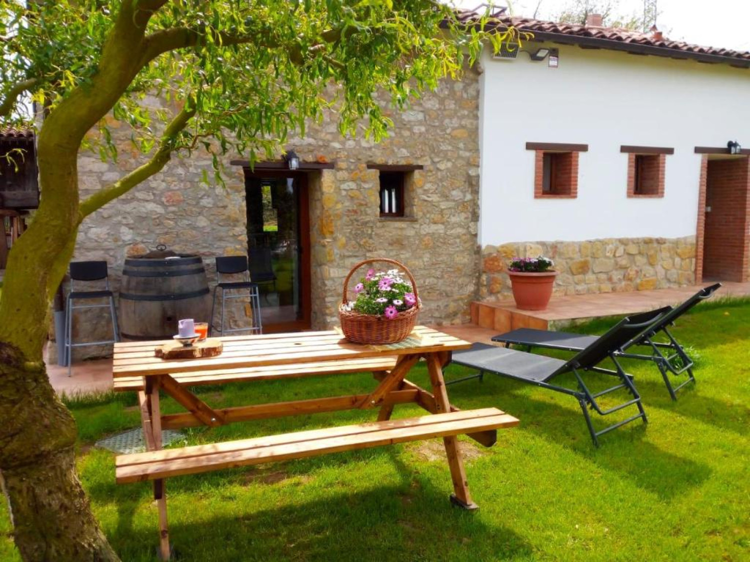 SAGASTA RURAL - OVIEDO